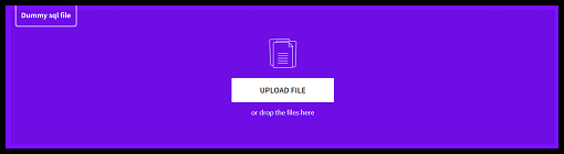 Click on UPLOAD FILE